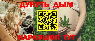 твердый Кингисепп