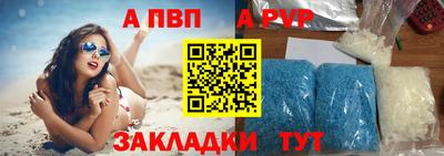 твердый Кингисепп