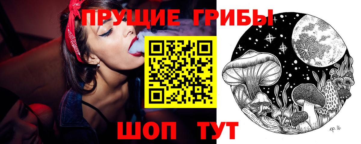Корсаков  Псилоцибиновые грибы Magic Shrooms  Вход с VPN 