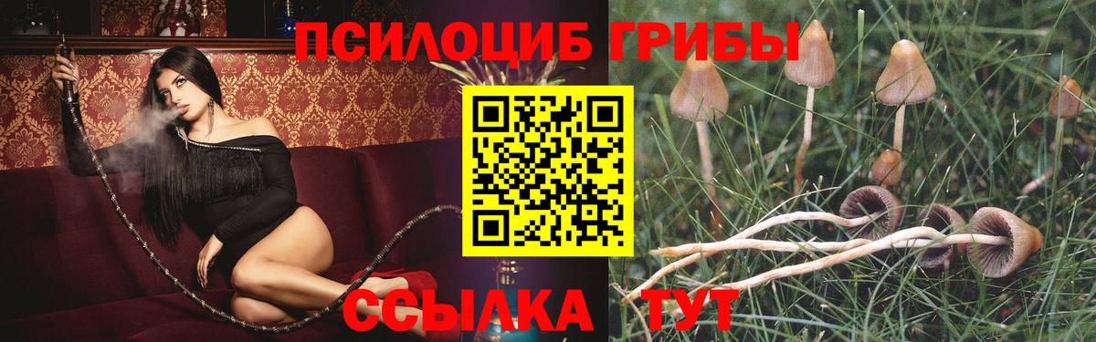 Галлюциногенные грибы Cubensis Корсаков